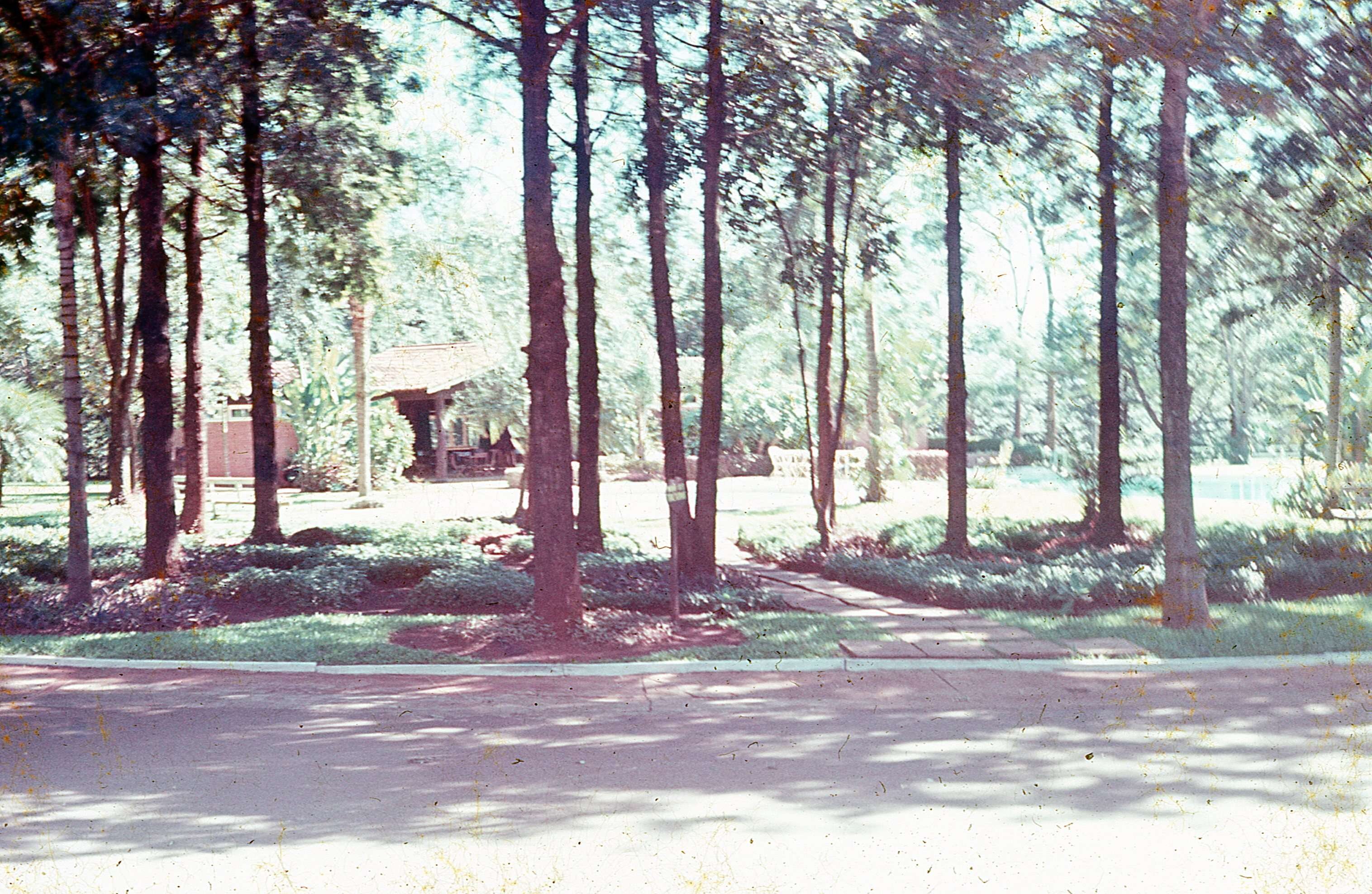 Interior do Clube Hípico - Anos 1980