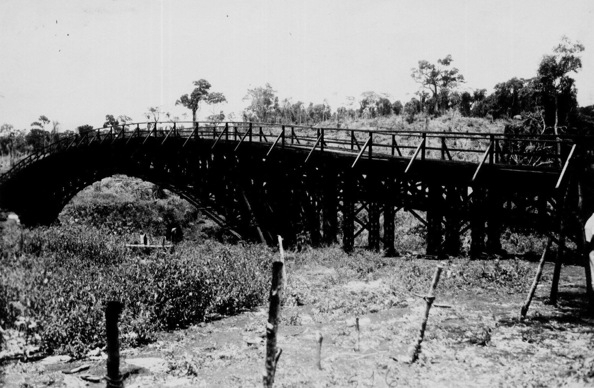 Ponte sobre o rio Pirapó - Década de 1950