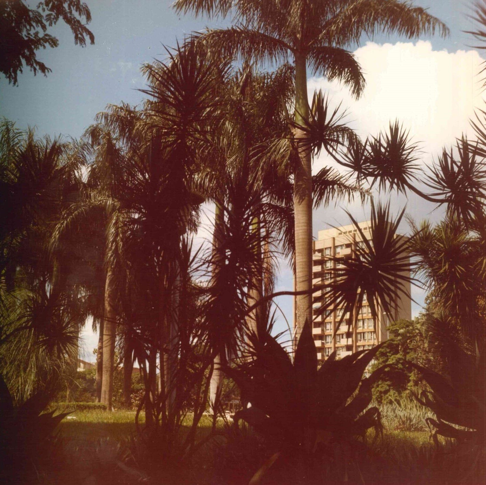 Da praça, o Edifício Maringá - Anos 1970